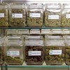 Areas with legal marijuana shops have no more crime than areas with bars