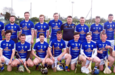 The one county that were without a senior hurling team: Cavan reignite the flame