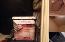 'This is just a drop in the ocean': Pictures show rats and mould in emergency accommodation