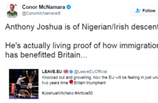 An Irish journalist has gone insanely viral for shutting down a pro-Brexit group's tweet about a boxer