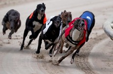 Not everyone is happy that Dublin's iconic greyhound track in Harold's Cross is to be sold