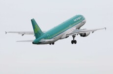 Aer Lingus flight from Naples forced to turn back after hitting flock of pigeons