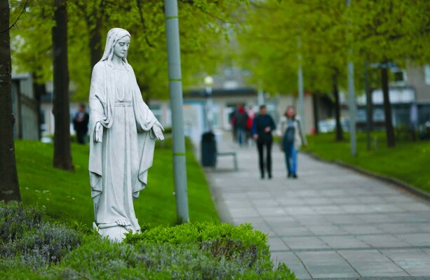 'There is a long history of intermingling of church and State funds with respect to St Vincent's'
