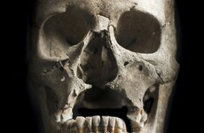 Ireland's Vikings still haven't unveiled all of their secrets