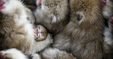 These stunning photos are competing for National Geographic Travel Photographer of the Year