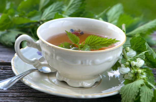 Fancy a nettle tea? Spring nettles are abundant right now and have lots ...