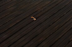 At least 69 jobs to go as Bord na Móna confirms plans to close Tipperary plant