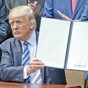 Can You Guess Which Donald Trump Tweets Are Real?