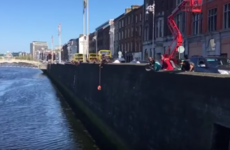 These kind souls threw a lifebuoy into the Liffey to rescue a poor stranded cat