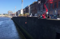 These kind souls threw a lifebuoy into the Liffey to rescue a poor stranded cat