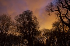 My Favourite Drive: Colin Doyle on the night-time journey through the Phoenix Park