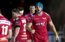 Scarlets delighted with impact of 'absolutely outstanding' Irishman Beirne