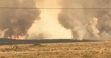Over a third of Ireland's largest forest has been destroyed by gorse fire