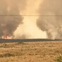 Over a third of Ireland's largest forest has been destroyed by gorse fire