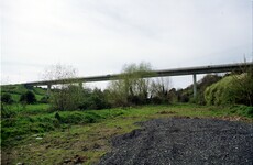 Did councillors agree to put a 'mini M50 bridge' through a park because they didn't know it was a park?