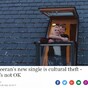 A New Zealand music critic has ripped into Ed Sheeran's Galway Girl for 'cultural theft'