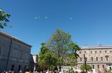 'A special tribute': Tree of Hope puts down roots at Leinster House