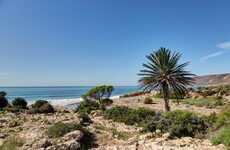 Local media reports Irish woman stabbed to death in Morocco