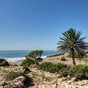 Local media reports Irish woman stabbed to death in Morocco