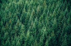 Relief for locals after woodland site taken off government housing land map