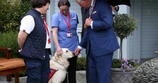 Wreaths, the Taoiseach and a very good dog: a day spent with Prince Charles