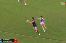 Mark O'Connor makes AFL debut but Geelong overpowered