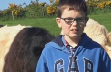 This 10-year-old boy decided to buy a cow with his communion money