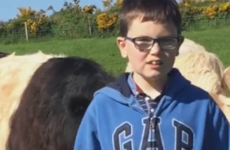 This 10-year-old boy decided to buy a cow with his communion money