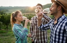 QUIZ: Can we guess your favourite type of wine?