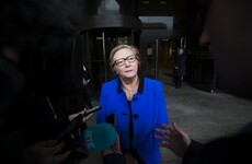 'If she ran, we'd hit her with that every day': Fitzgerald's leadership bid ends before it started