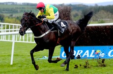 Ireland's Cheltenham Gold Cup winner breaks ribs in fall