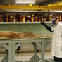 Rare giant squid caught off the coast of Dingle to be brought to Natural History Museum
