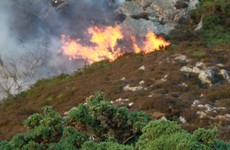 Farmers who started 'illegal' gorse fires may have Basic Payment Scheme grants docked