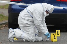 New DNA database helped gardaí solve two murders and hundreds of burglaries