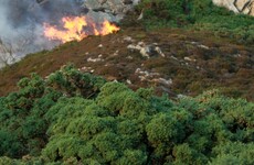 Gorse fire which was visible across Dublin put under control last night