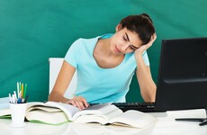 English language schools: 'Low-hours contracts, low pay and bogus self-employment'