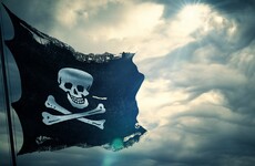 Brexit: 'We do not want the British sailing off like some pirate state, joining the Trump administration'