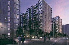 Ireland's largest private landlord is appealing 'exaggerated claims' against a Sandyford project