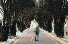 Ariana Grande was spotted wandering around Glasnevin Cemetery with her dog