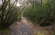 'Utterly tragic' - Possible drugs link after 15-year-old girl dies in Armagh woods