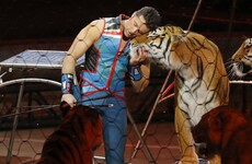 'The greatest show on earth' has ended after 146 years
