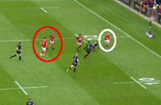Zebo's sensational try shows Munster's attacking confidence is growing