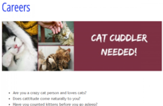 This veterinary hospital in Dublin is looking for a 'cat cuddler' to join their team