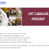 This veterinary hospital in Dublin is looking for a 'cat cuddler' to join their team