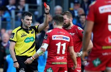 Huge boost for Scarlets as dazzling wing Evans cleared to play against Munster