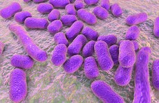 'Questions need to be asked' after outbreak of superbug at Dublin hospital