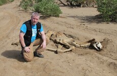Opinion: 'I’ve never seen hunger and despair like I saw last week in Kenya'