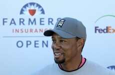 Tiger Woods sorry after arrest, says alcohol not involved