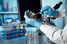 Pharma colossus MSD has announced 330 jobs in Carlow and Cork