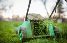 Poll: How often should you bother to cut the grass?